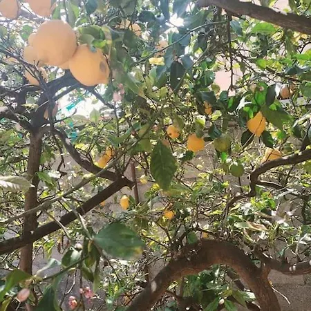 Nonna Cristina Pompeya